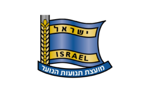 מועצת תנועות הנוער